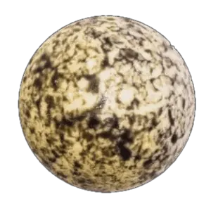 Bombe de chocolat chaud Mercure