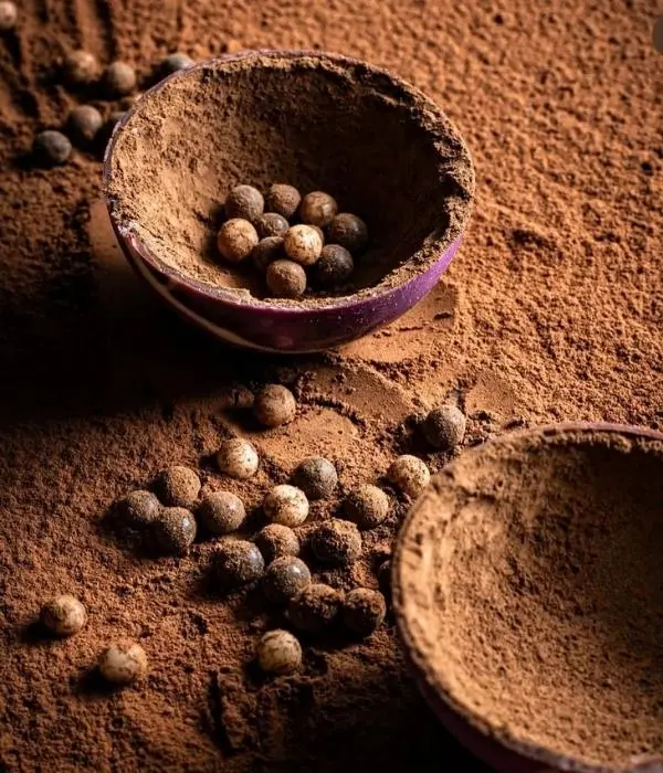 Chocolats artisanaux O'BomB sous forme de bombe de chocolat chaud, gamme à destination des revendeurs